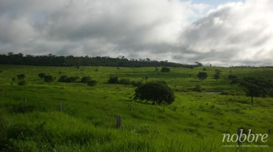 Fazenda para vender no Pará, pecuária.